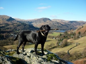 Morgan on the Pipe Track above Ullswater