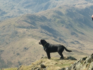 Morgan Looking down on Deepdale
