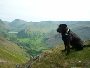 Morgan above the dale towards Brotherswater